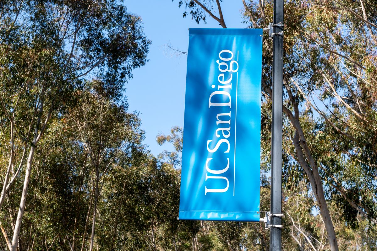 image of uc san diego banner on light post